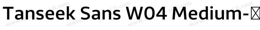 Tanseek Sans W04 Medium字体转换